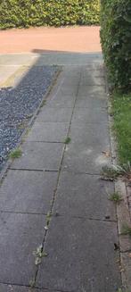 Schellevis tegels 50x50x7 gratis afhalen, Ophalen, Gebruikt, 10 m² of meer, Beton