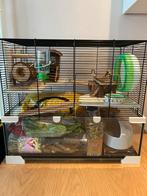 Hamsterkooi en toebehoren, Dieren en Toebehoren, Kooi, Zo goed als nieuw, Chinchilla, 75 tot 110 cm