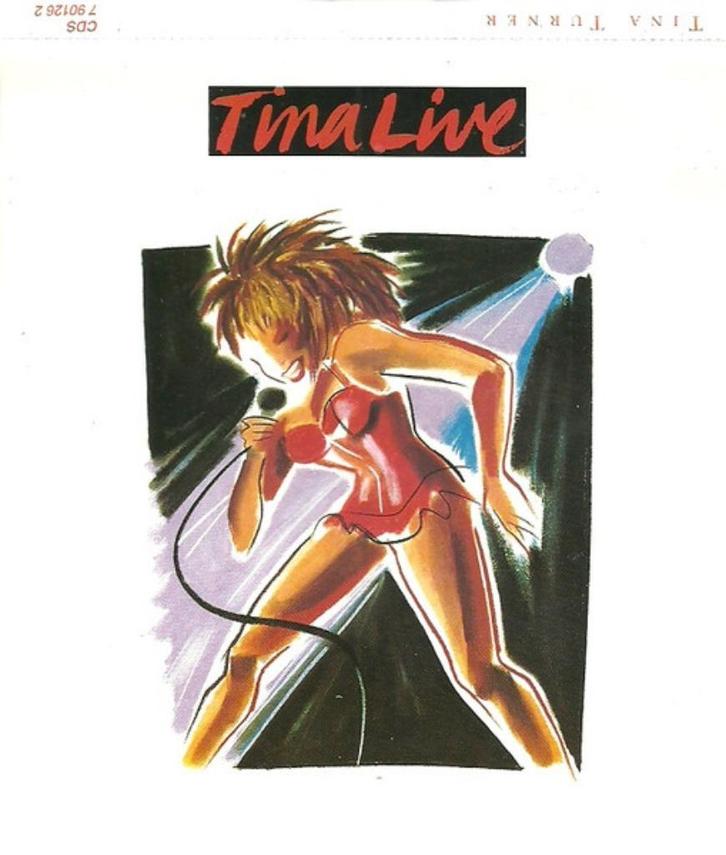 Tina Turner - Tina Live in Europe  2cd, Cd's en Dvd's, Cd's | Rock, Zo goed als nieuw, Poprock, Ophalen of Verzenden