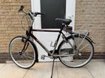 Herenfiest BATAVUS, 57 tot 61 cm, Ophalen, Zo goed als nieuw, Batavus