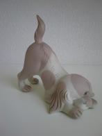 Porselein hondje van e. Miguel valencia hoogte 12 cm, Verzamelen, Beelden en Beeldjes, Ophalen of Verzenden, Zo goed als nieuw