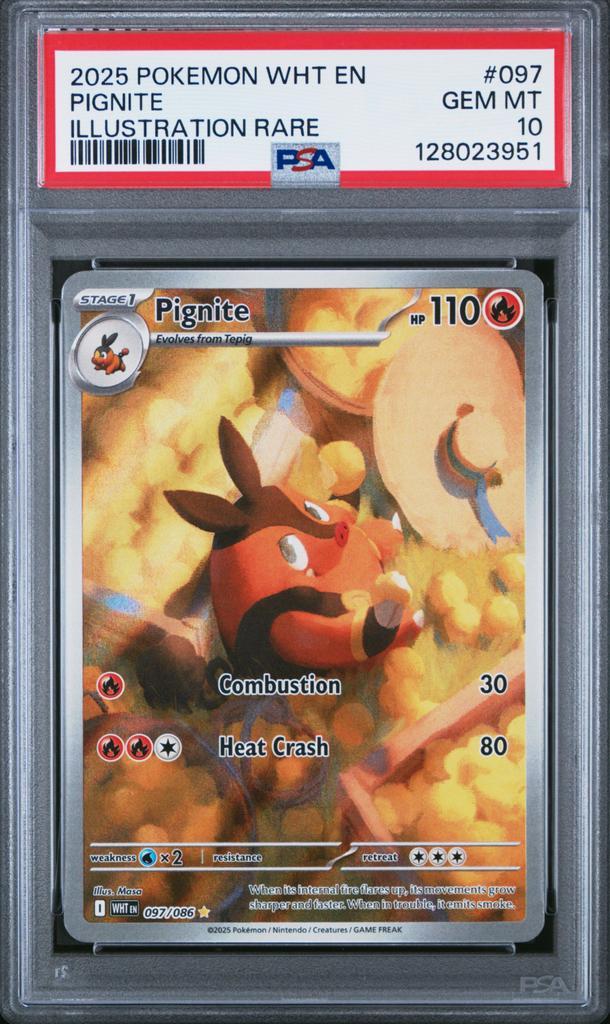 Pignite 097 PSA 10 POP 29!, Hobby en Vrije tijd, Verzamelkaartspellen | Pokémon, Ophalen of Verzenden