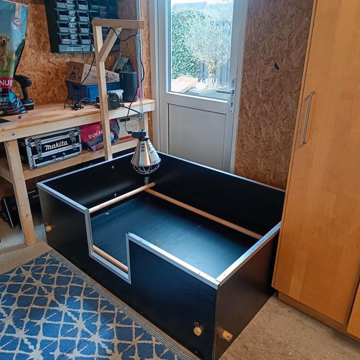 Te huur grote werpkist, Dieren en Toebehoren, Honden-accessoires, Ophalen of Verzenden