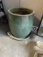 Planten pot voor binnen, Ophalen, 40 cm of meer, Rond, Binnen