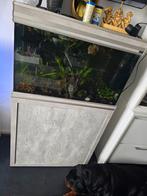Mooi aquarium aquatlantis, Dieren en Toebehoren, Vissen | Aquaria en Toebehoren, Ophalen, Zo goed als nieuw, Leeg aquarium