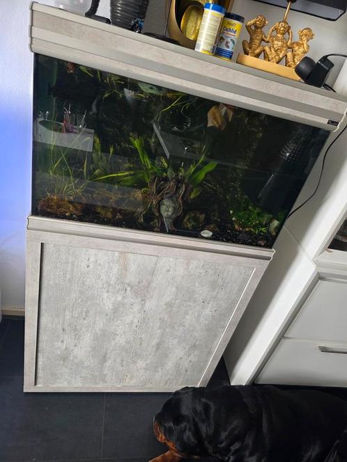 Mooi aquarium aquatlantis, Dieren en Toebehoren, Vissen | Aquaria en Toebehoren, Zo goed als nieuw, Leeg aquarium, Ophalen