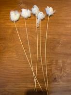 Pasen stekers op lange stok kip ei, Ophalen of Verzenden, Zo goed als nieuw