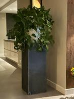 2 Leisteen Zuilen - 1 meter hoog, Ophalen of Verzenden, Gebruikt