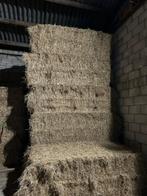 Hooi te koop, Dieren en Toebehoren, Dierenvoeding, Ophalen, Vee