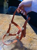 Mini shetlander halster, Ophalen of Verzenden, Gebruikt, Overige soorten