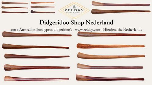 Zeer grote Australische Eucalyptus didgeridoo collectie., Muziek en Instrumenten, Blaasinstrumenten | Didgeridoos, Nieuw, Ophalen