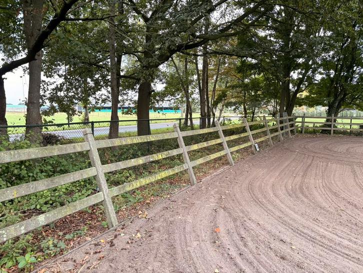 Rijbak te huur, Dieren en Toebehoren, Paarden en Pony's | Overige Paardenspullen, Overige soorten, Ophalen