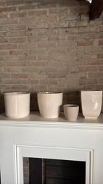 Cremekleurige bloempotten, Ophalen, Rond, Binnen, Minder dan 25 cm