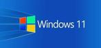 Opwaarderen naar Windows 11?, Ophalen, Nieuw, HDD