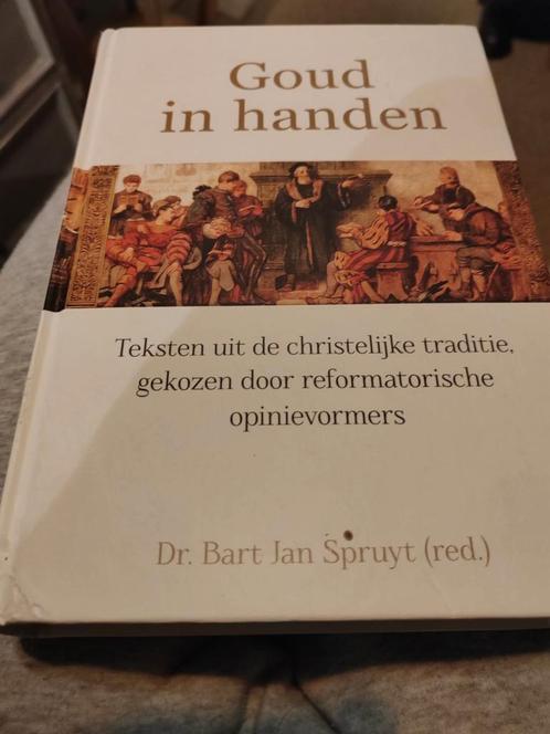 Bart Jan Spruyt - Goud in handen, Boeken, Godsdienst en Theologie, Gelezen, Ophalen of Verzenden