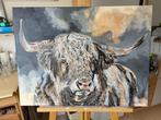 Schilderij Schotse Hooglander, Ophalen, Nieuw, Schilderij, 50 tot 75 cm