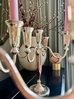 Kandelaar 5tak 5 arms vijf zilver 2 stuks groot vintage, Ophalen of Verzenden, Koper of Brons
