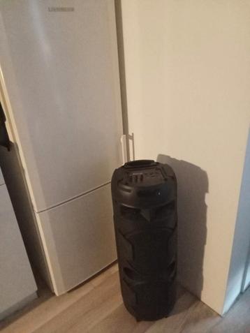Roseland bluetooth box. beschikbaar voor biedingen
