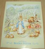 KONIJNEN THE WORLD OF BEATRIX POTTER 90 POSTER NIEUW, Nieuw, Foto of Poster, Minder dan 50 cm, Ophalen of Verzenden