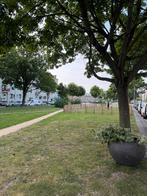 Appartement te huur, Huizen en Kamers, Rotterdam