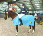 Chique Veelzijdige Lieve D-pony (Springen & Dressuur), Dieren en Toebehoren, Pony's, M, Springpony, 11 jaar of ouder, D pony (1.37m tot 1.48m)