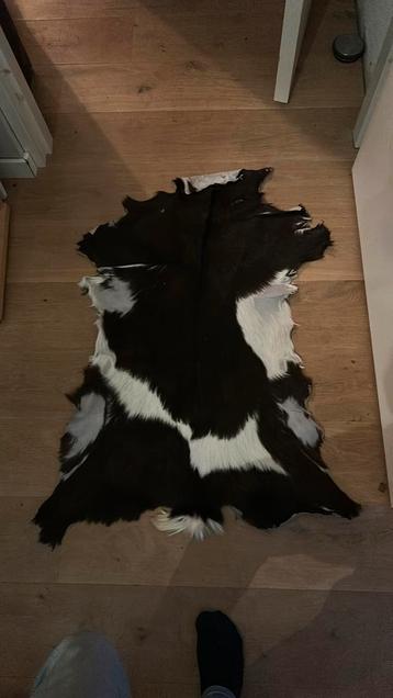 Geitenhuid beschikbaar voor biedingen