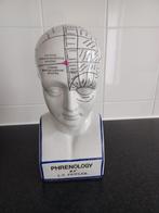 Phrenology hoofd (buste), Ophalen of Verzenden