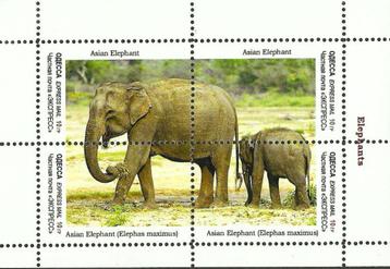 OLIFANTEN-ELEPHANTS = Mooi bl. v UKRAINE ODESSA-3010-11 beschikbaar voor biedingen