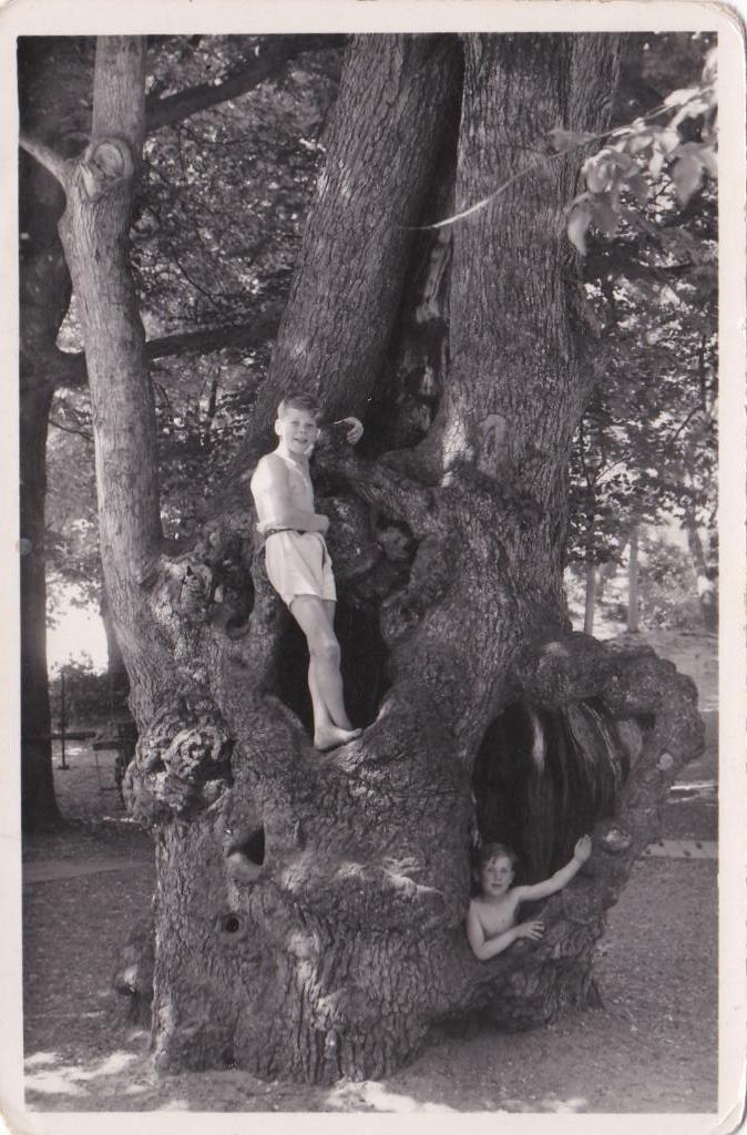 17300 Kraantje Lek Overveen Noord-Holland  oude kaart 1953, Verzamelen, Ansichtkaarten | Nederland, Gelopen, Noord-Holland, 1940 tot 1960