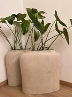 Mooi vazen met planten erbij 80 cm hoog, Tuin en Terras, Rond, Ophalen of Verzenden, Zo goed als nieuw, Minder dan 25 cm