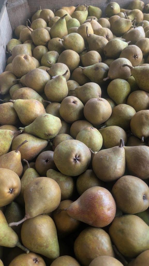 Mooie Stoofperen van Eigen Boomgaard nu aanbieding, Zakelijke goederen, Agrarisch | Aardappelen, Groenten, Fruit en Vlees, Ophalen
