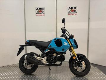 Honda MSX 125 ABS (bj 2024) beschikbaar voor biedingen