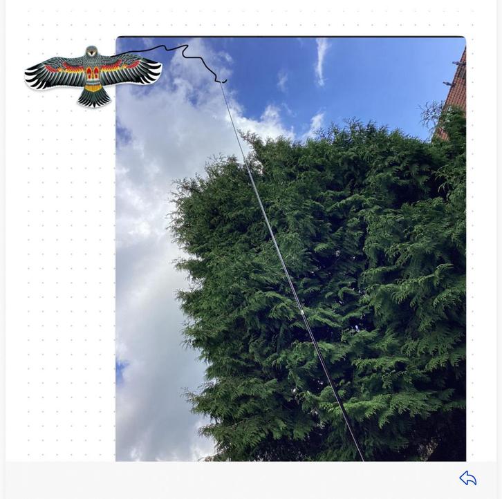 Uitschuifbare roede 4 meter, Doe-het-zelf en Verbouw, Overige Doe-het-zelf en Verbouw, Nieuw, Ophalen of Verzenden