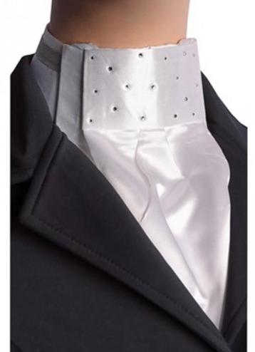 Plastron  beschikbaar voor biedingen