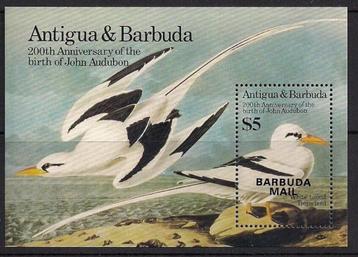 BARBUDA 28 - Dieren: vogels (keerkringvogel) beschikbaar voor biedingen