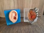oor sieraden, Ophalen of Verzenden, Nieuw, Overige materialen, Oor- of Traguspiercing