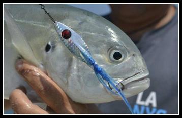 Waves Pelamistic Shore Game Special Spinning Jig Lure 26g. beschikbaar voor biedingen