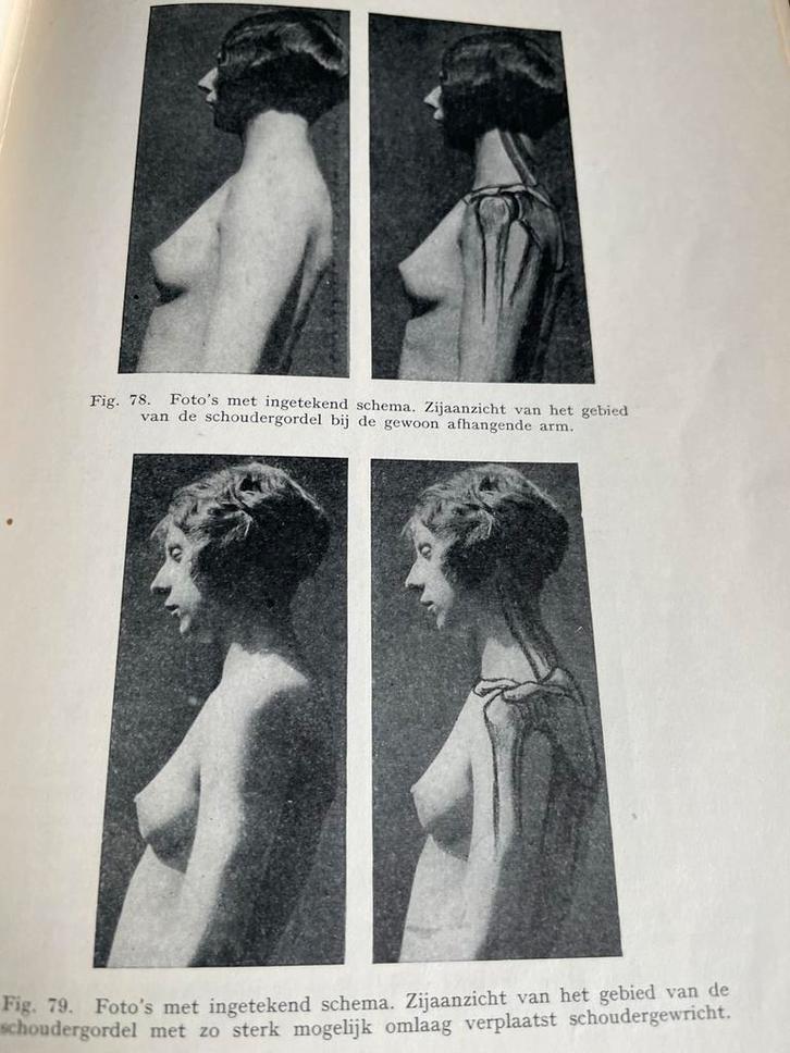 Anatomie Boek met Foto's en Schema's, Boeken, Kunst en Cultuur | Fotografie en Design, Gelezen, Fotografie algemeen, Ophalen of Verzenden