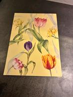 Aquarel blok, Ophalen of Verzenden, Nieuw