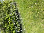 Hek., Tuin en Terras, Ophalen of Verzenden, 200 cm of meer