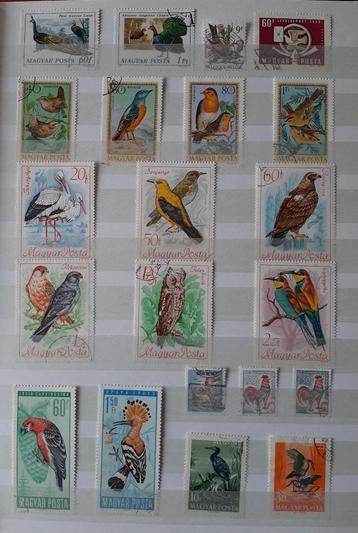 2 Kaarten Mooiste Vogels Nr. 3 Gestempeld beschikbaar voor biedingen
