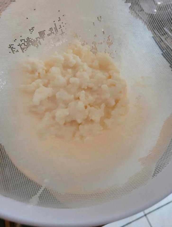 Biologische Tibetaanse melkkefir korrels Is op rauwe melk, Diversen, Levensmiddelen, Ophalen of Verzenden