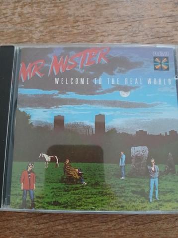 CD Mr. Mister - Welcome To The Real World beschikbaar voor biedingen