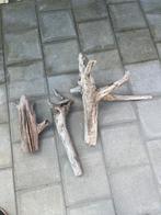 Drijfhout., Ophalen of Verzenden, Zo goed als nieuw, Bird-skeleton-artistry, Nvt