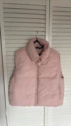 Zara bodywarmer roze maat 140, Ophalen of Verzenden, Zo goed als nieuw, Maat 34 (XS) of kleiner, Roze