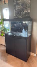 Aquatlantis splendid 80 146L, LED, Biomaster 250, Dieren en Toebehoren, Vissen | Aquaria en Toebehoren, Ophalen of Verzenden, Zo goed als nieuw