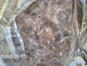 Schapenwol  beschikbaar voor biedingen