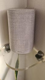 Set van 2 Harman Kardon Citation 100 grijs, Overige merken, Ophalen of Verzenden, Zo goed als nieuw, 120 watt of meer