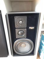 MAGNAT MSP 60, Ophalen, Gebruikt, Magnat, 120 watt of meer