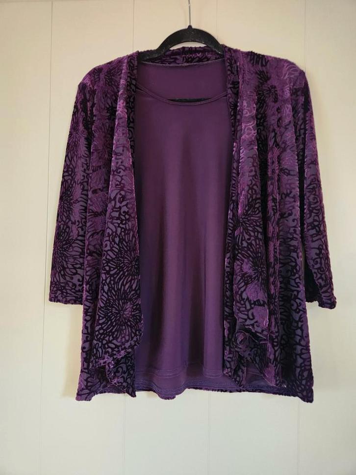 Shirt en blouse ineen Mt 40, Kleding | Dames, Gelegenheidskleding, Zo goed als nieuw, Overige typen, Maat 38/40 (M), Paars, Ophalen of Verzenden